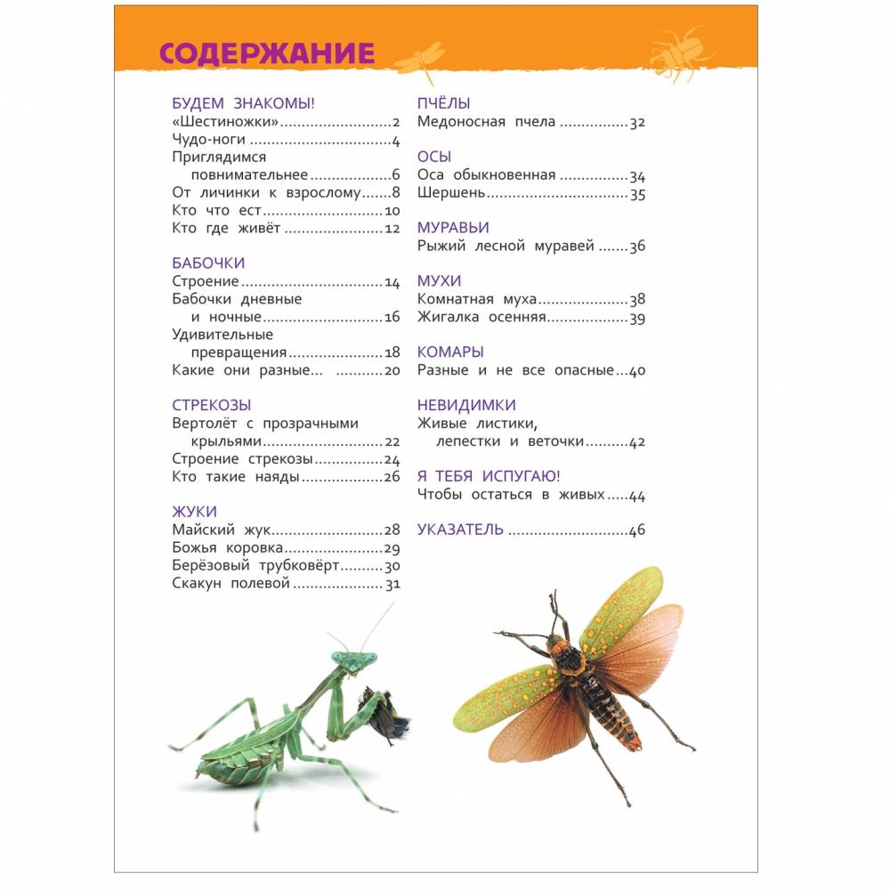 Насекомые.Энциклопедия для детского сада