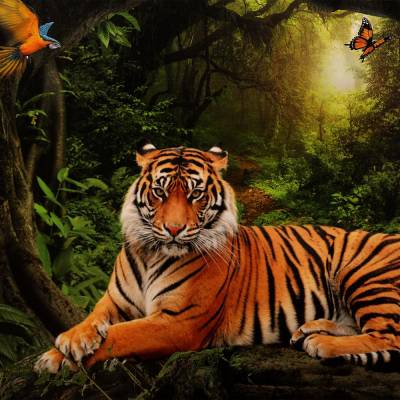 Тигр в джунглях Пазлы классические
